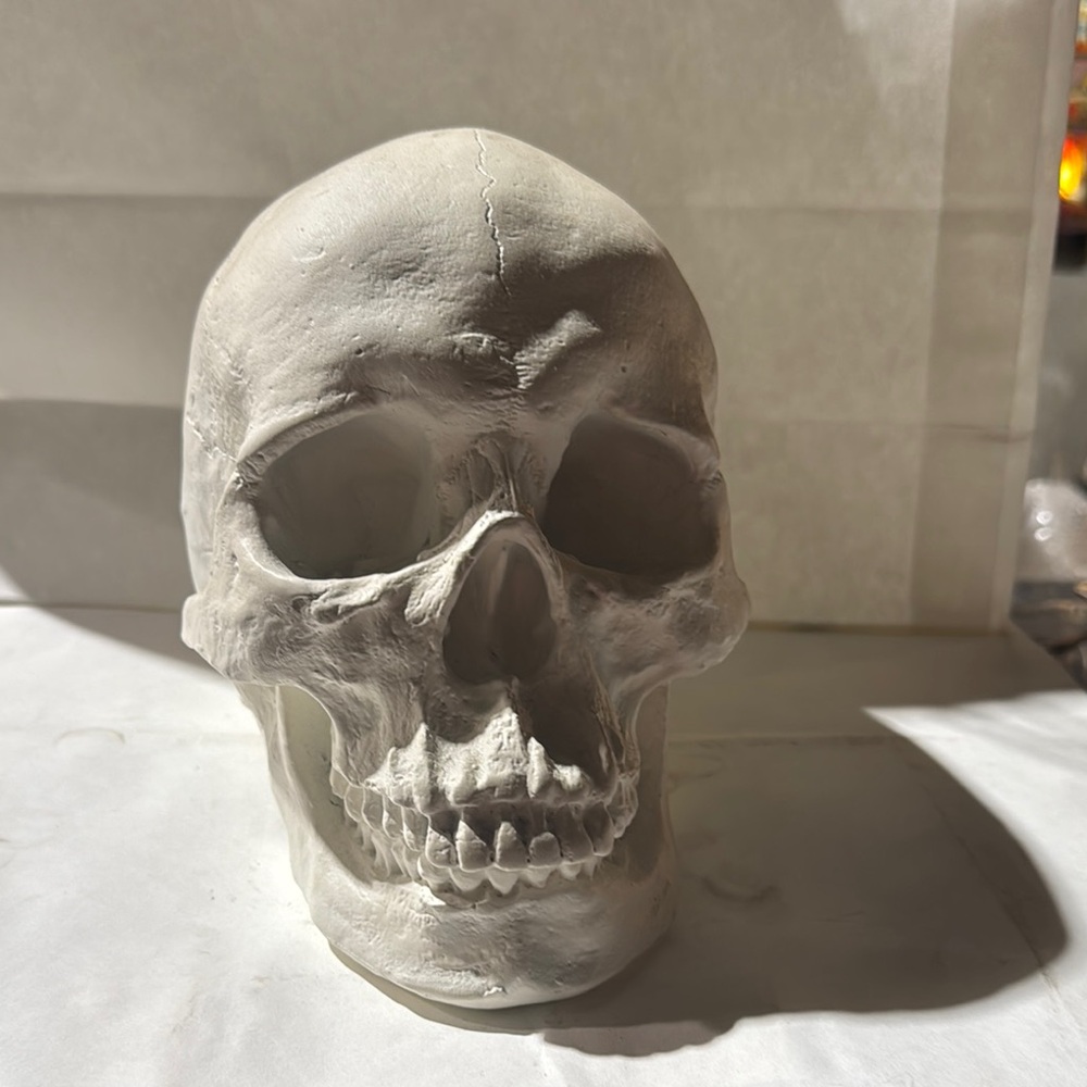White Skull Sculpture for Home Decor